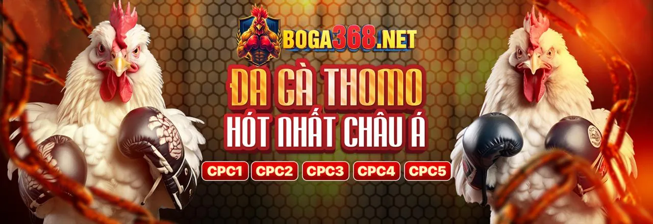 Hình ảnh chính về chiến lược và mẹo chơi game Bomwin